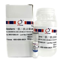 Western一抗二抗去除液（中性，劇烈型）